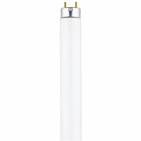 Westinghouse 25 watt T8 Linear 741 Fluorescent Light Bulb, Cool White, 25PK 745400